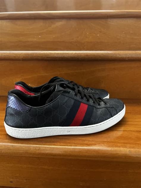 gucci trainers mens gumtree|gucci ace men's trainers.